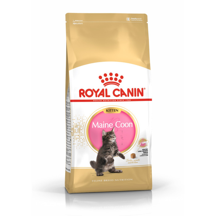 ROYAL CANIN сухой корм для котят породы Мейн-кун  