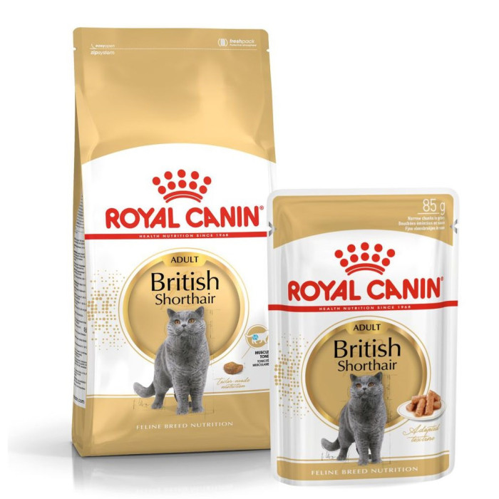 ROYAL CANIN сухой корм для взрослых кошек породы британская короткошерстная 