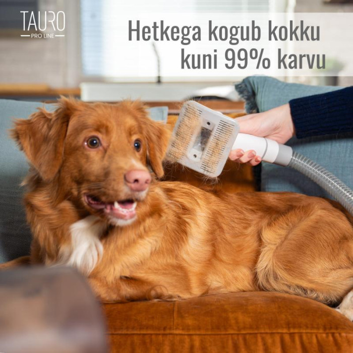 TAURO PRO LINE 7in1 Lemmiklooma karvkatte hoolduskomplekt tolmuimejaga 