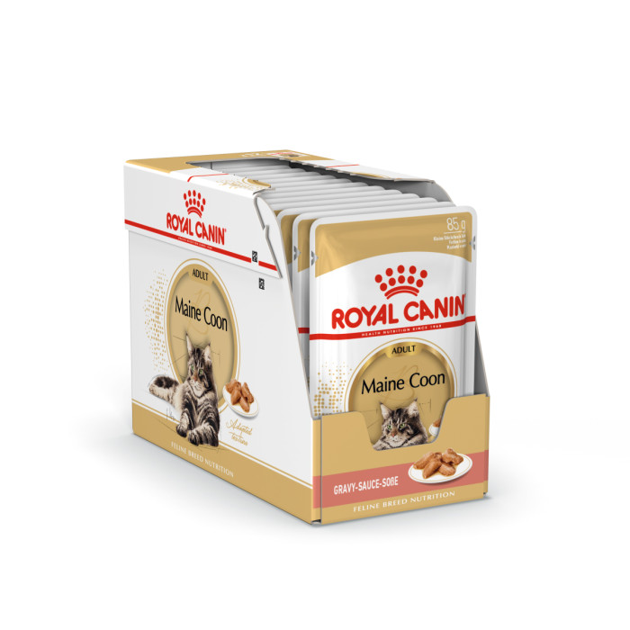 ROYAL CANIN Maine Coon, konservsööt täiskasvanud kassidele 