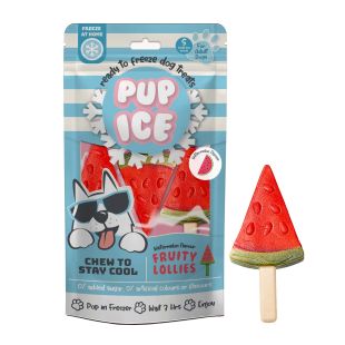 IMAGINELLES Pup Ice пищевые добавки-лакомства, в форме мороженого "Fruity Lollies" со вкусом арбуза, 90 г, 3 шт.