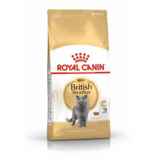 ROYAL CANIN kuivtoit briti lühikarvalist tõugu täiskasvanud kassidele 4 kg