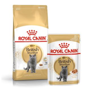 ROYAL CANIN сухой корм для взрослых кошек породы британская короткошерстная 2 кг