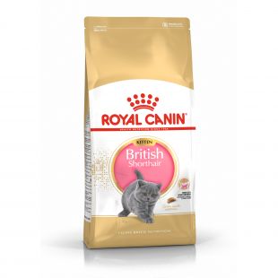 ROYAL CANIN сухой корм для котят породы британская короткошерстная 2 кг